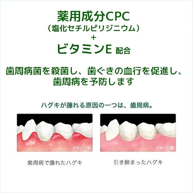 GUM (Quasi-drug) Medicated Salt Toothpaste, Salty Mint, Dental Paste, Boxed Type, Spicy Mint Type, 5.3 oz (150 g)