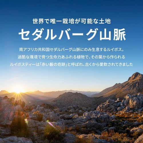 Drip Coffee Factory Rooibos Tea Bags – Decaffeinated Cold Brew, 110 Packets