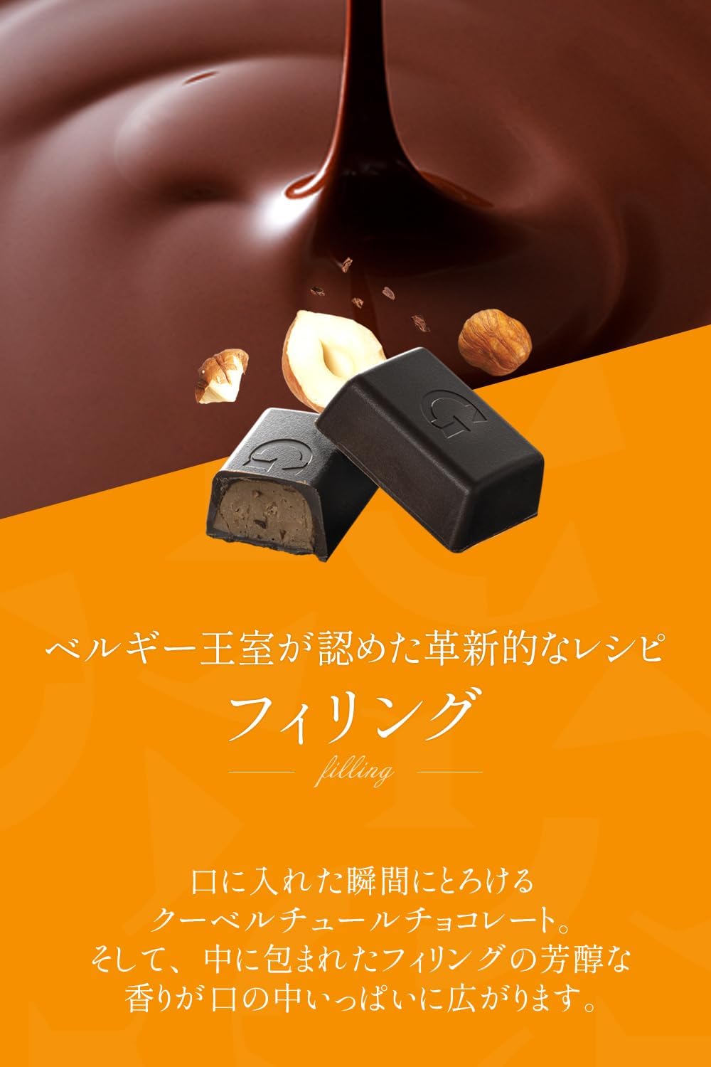 Galler Galley Nano Chocolate Bar Gift Pack | 30 Pieces | Belgian Royal Family Chocolate | Respect for the Aged Day