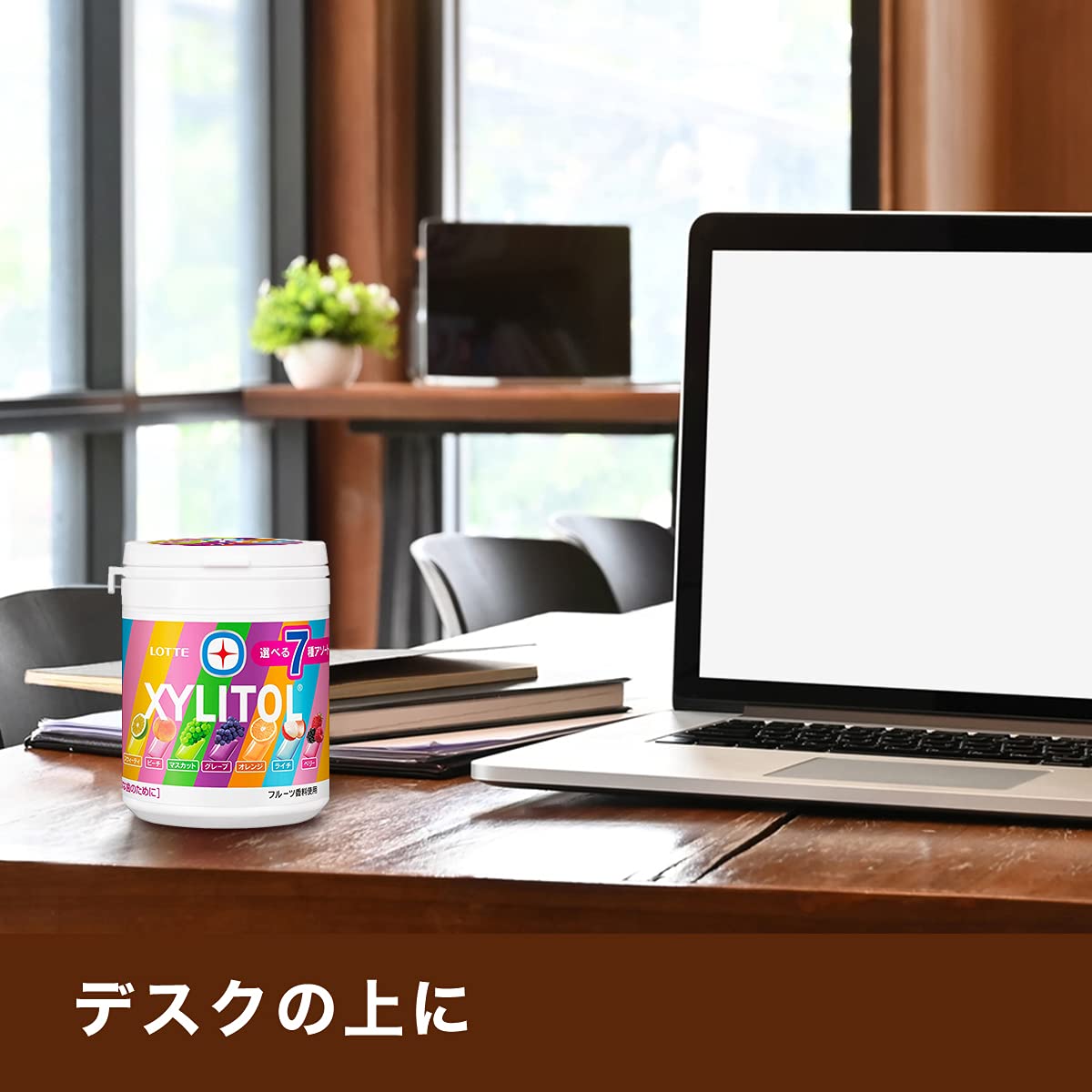 Lotte Xylitol Gum 7 Types Assorted Bottle 143g | Made in Japan | Chewing Gum | Japan Import