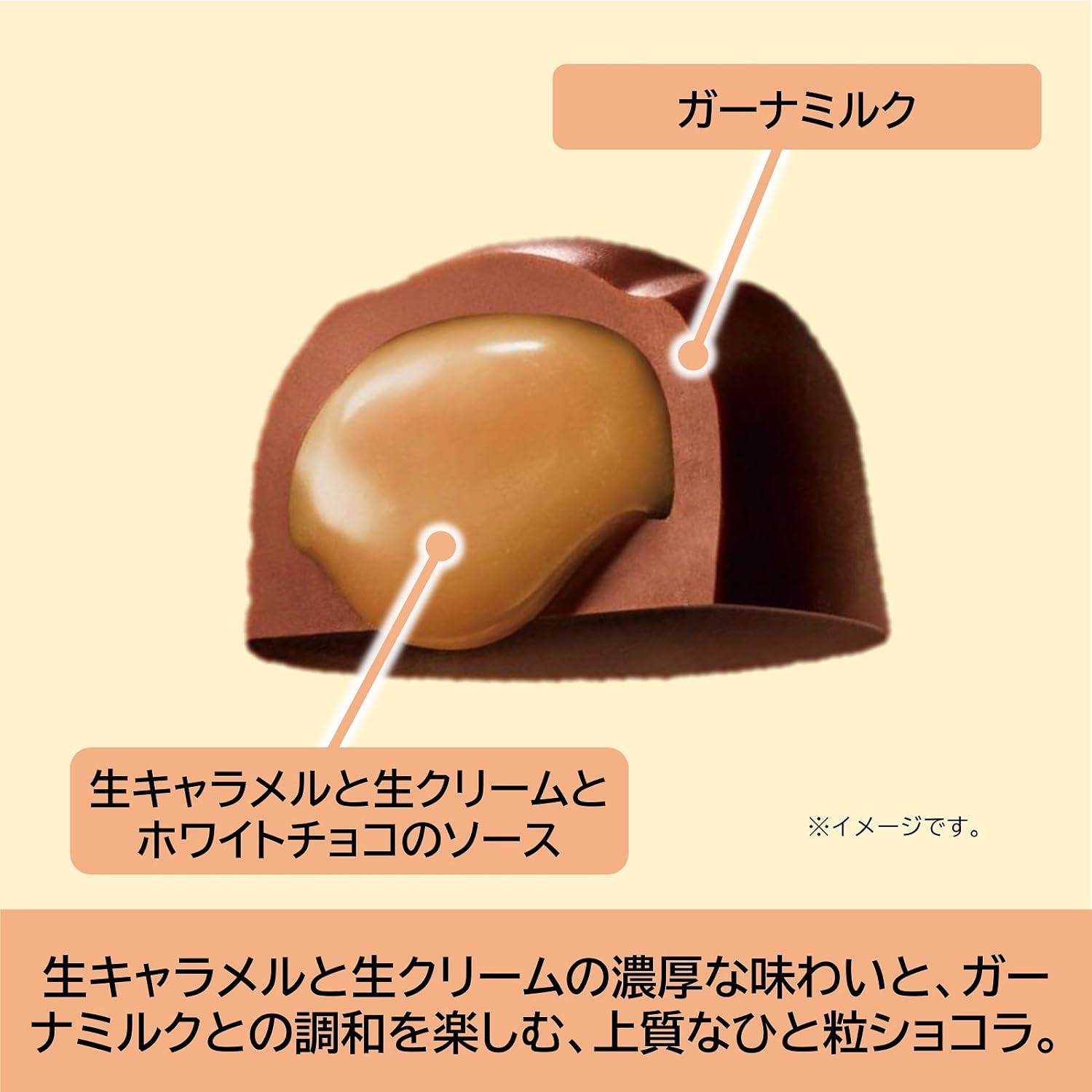 Lotte Premium Ghana Crème Chocolat (Raw Caramel) 2.3 oz (65 g) | Made in Japan | Japanese Chocolate | Japanese Sweets