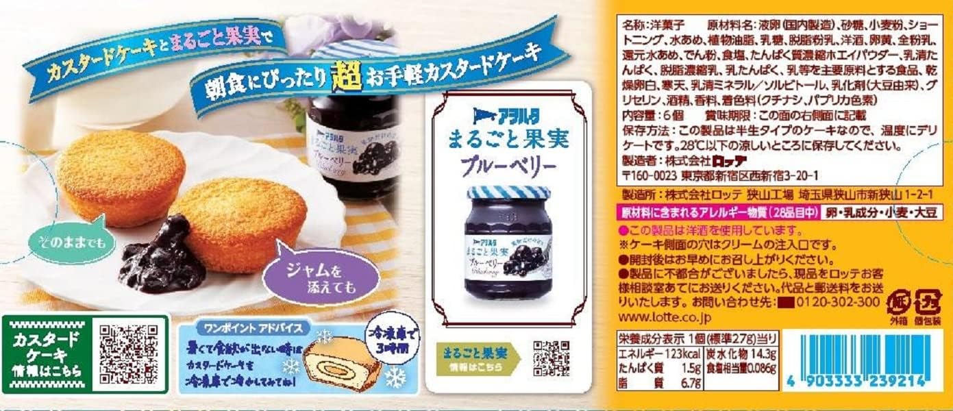 Lotte Custard Cake 1 Box | 6 Pieces Inside | Snack Cake