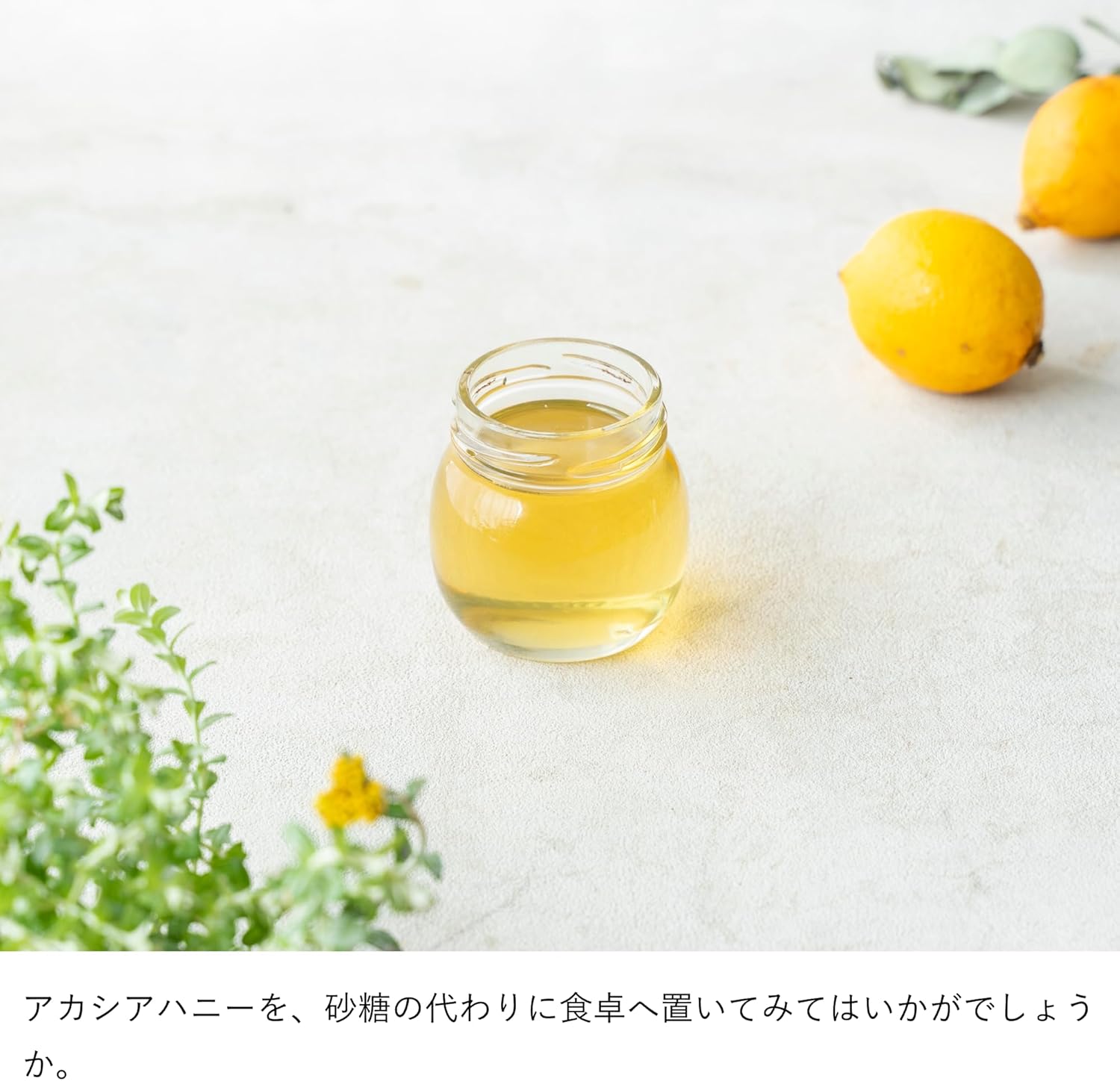 MYHONEY Acacia Honey 200g | 100% Pure Hungarian Acacia Honey | Premium Raw Honey for Everyday Wellness