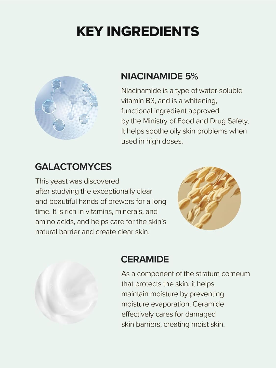 SKINFOOD Lemongrass Niacinamide 20 Serum – Brightening & Oil Control Korean Skincare Serum