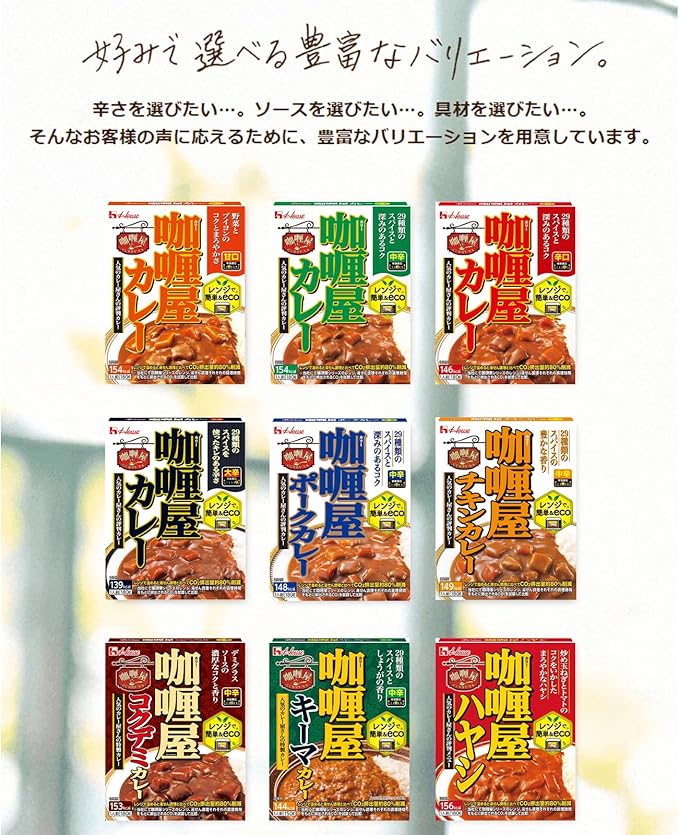 House Curry Hayashi 180g | Pack Of 2 | Made In Japan