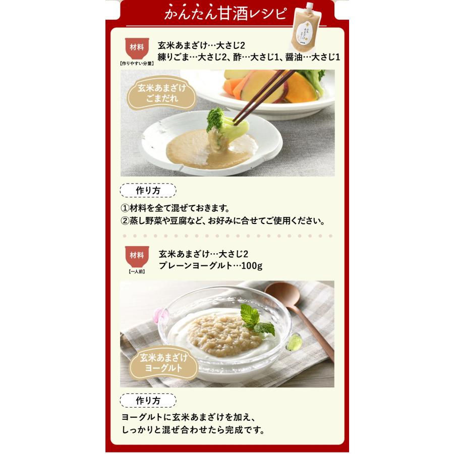 Nihonsakari Japanese brown rice amazake concentrate pouch