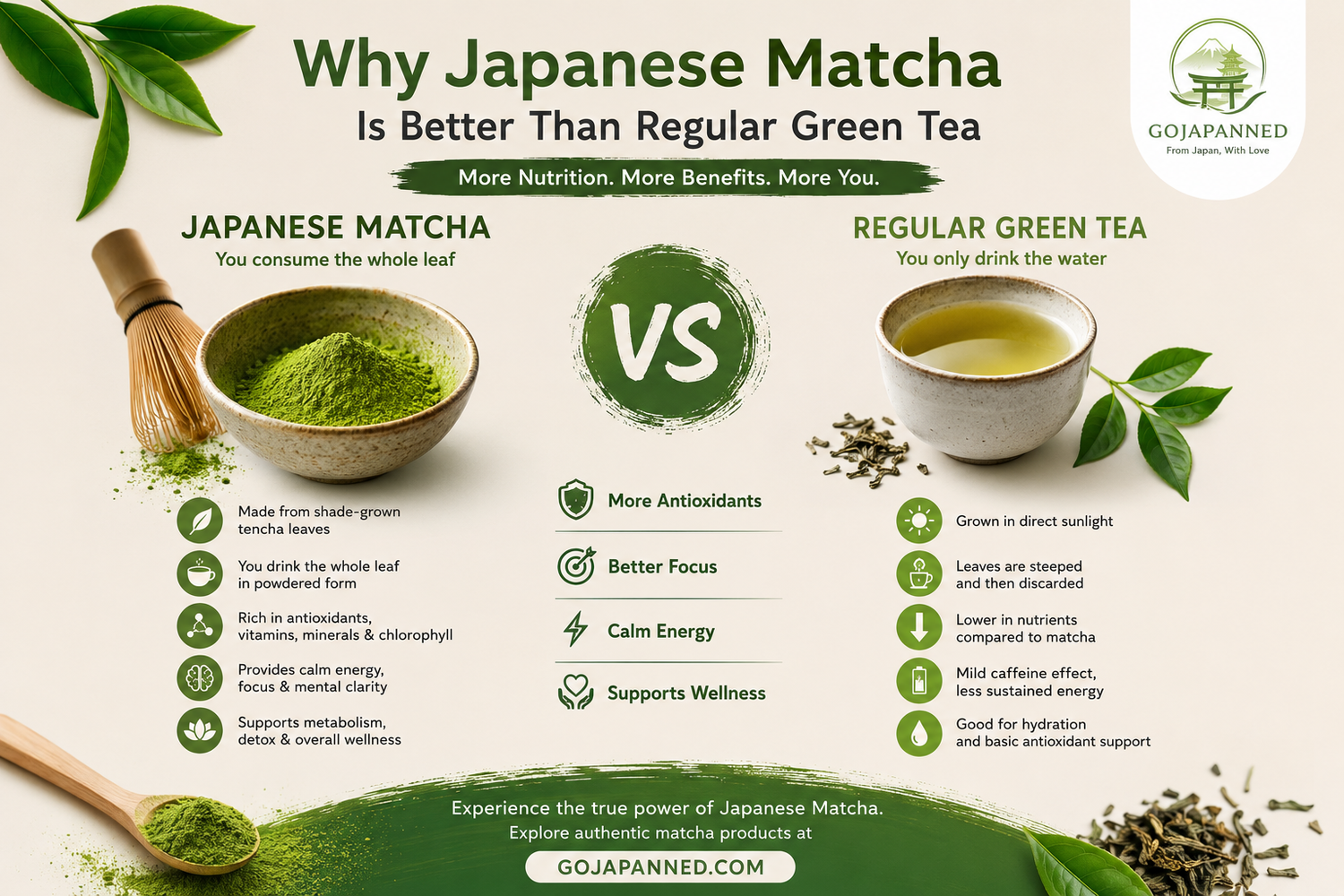 Why Japanese Matcha Is Better Than Regular Green Tea