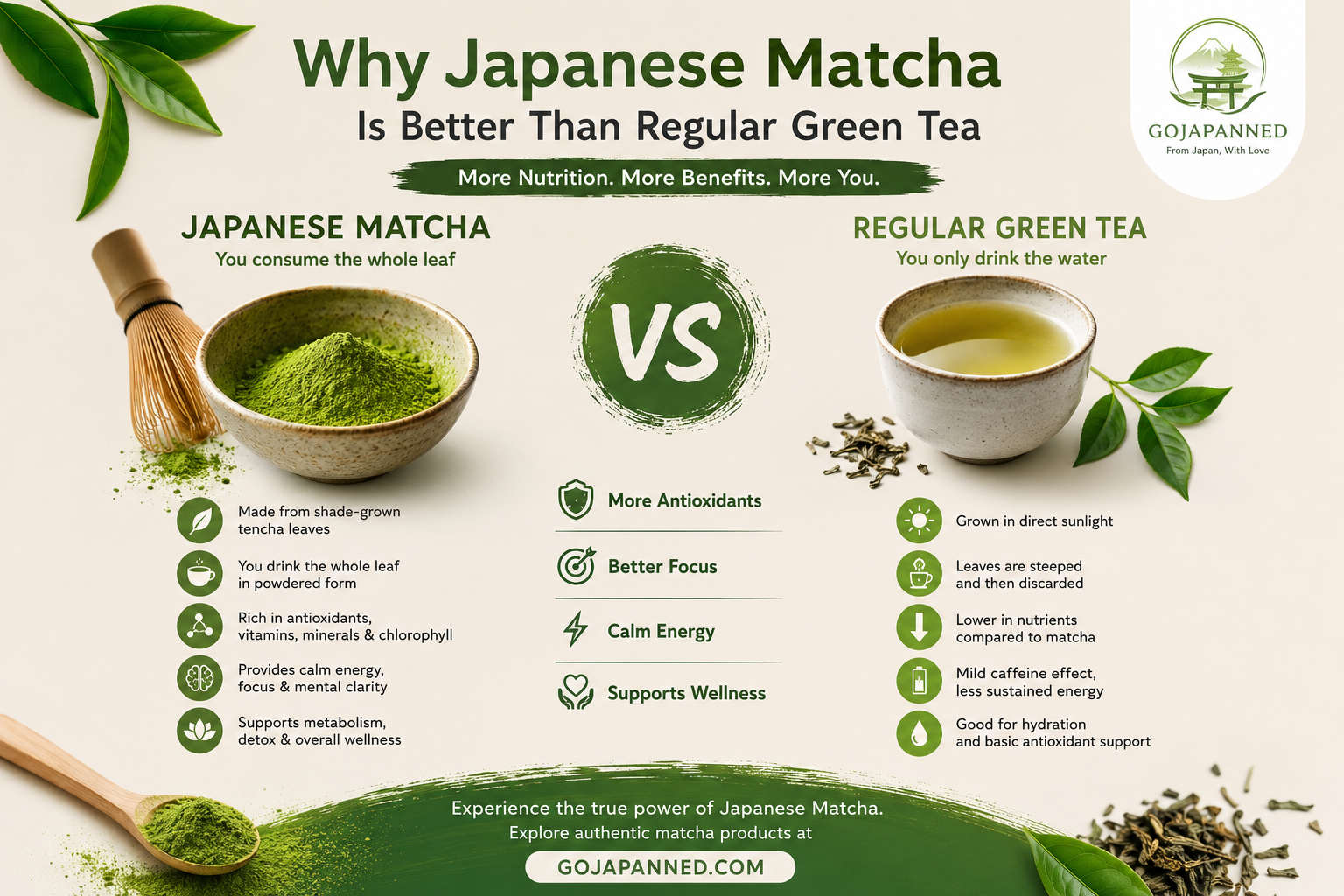 Why Japanese Matcha Is Better Than Regular Green Tea