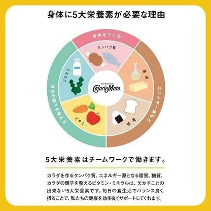 Otsuka Pharmaceutical Calorie Mate Block Maple Flavor – 4 Packs x 6 | Convenient Balanced Nutrition Snack
