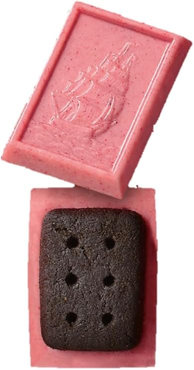 Bourbon Alfort Mini Chocolate Berry 80g | Pack of 2 | Made in Japan