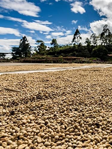 Saza Coffee Cup-On Guatemala 100P – Drip Pack Coffee | Deep Roasted Specialty Coffee 12g × 100 Packs
