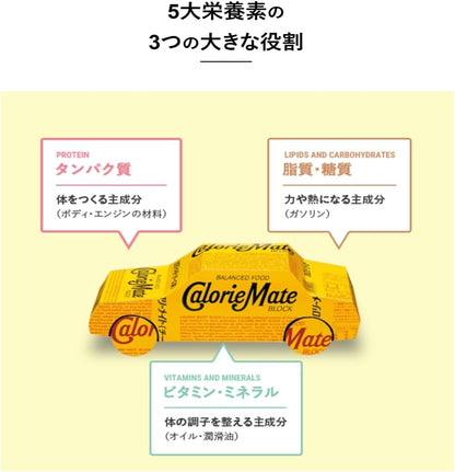 Otsuka Pharmaceutical Calorie Mate Long Life Chocolate – Pack of 2 | 3-Year Shelf Emergency Food