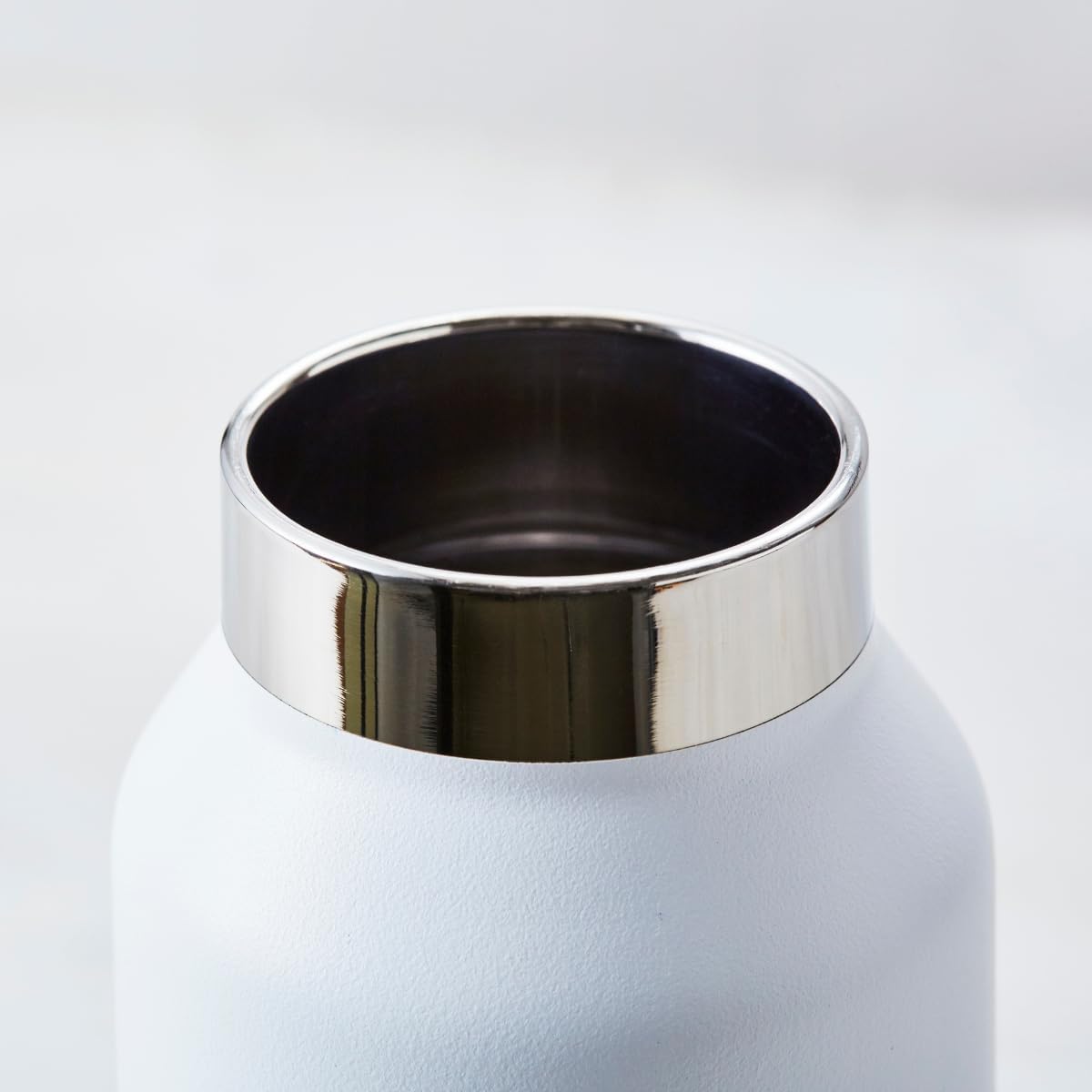 Blue Bottle Coffee Go Bottle – 9 oz Portable Drink Bottle