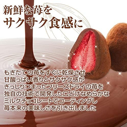 Kobe Franz Kobe Strawberry Truffle Cacao Sweets | Whole Strawberry Inside Each Piece | Made in Japan