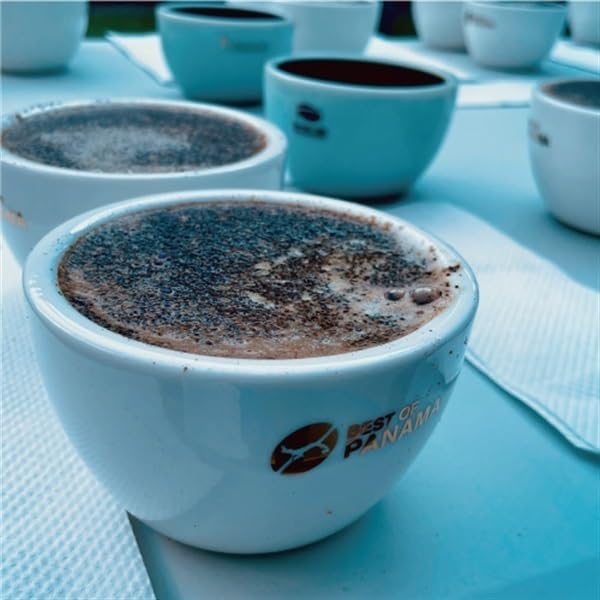 GEISHA GN-1 Best of Panama 2024 by Saza Coffee – Luxury Panama Geisha Drip Coffee | Deep Roast Specialty Coffee Single Serve 12g