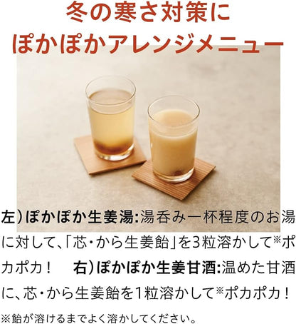 Morishita Rendan Core Ginger Candy – Golden Ginger Throat Candy with Gingerol &amp; Shogaol from Kochi Prefecture (48g x 5 Bags)
