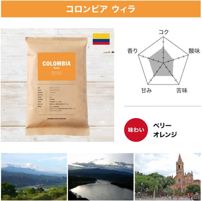 Drip Coffee Factory Takamura Coffee Roasters Trial Set – 3 Types, Medium Ground, 210 g (70 g × 3 Bags)