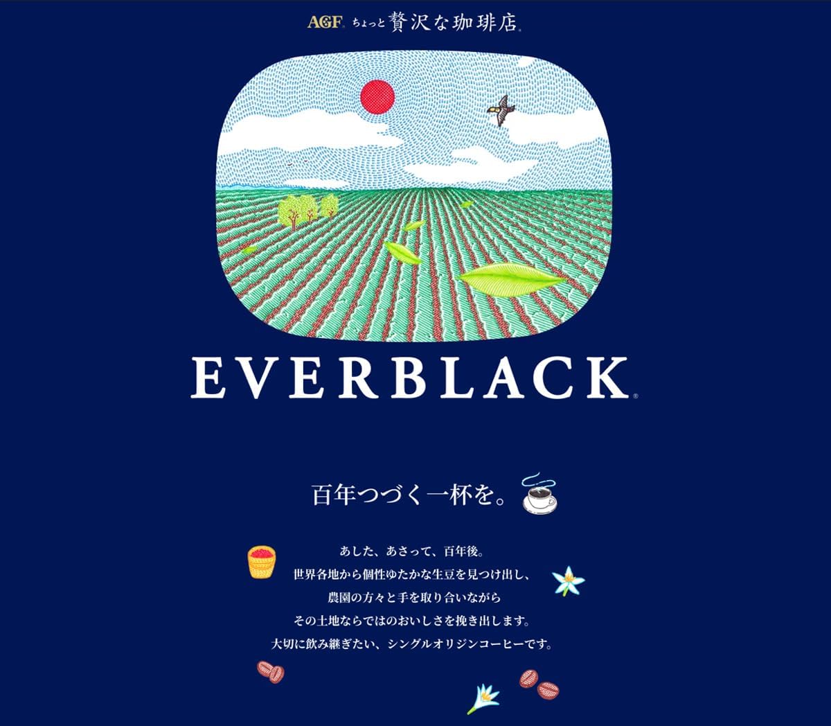 AGF A Slightly Luxurious Coffee Shop EVERBLACK Stick Black 9 Sticks from Valle del Cauca Province, Colombia [Stick coffee] [Instant coffee] | Made in Japan