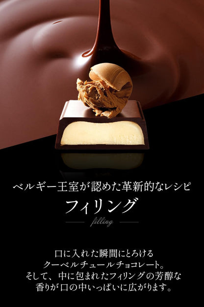 Galler Galley Chocolate Mini Bar Gift – 2024 High-Quality Belgian Chocolate Souvenir with Individual Packaging &amp; Carrying Bag