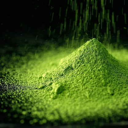 Premium Matcha &amp; Hojicha Terrine – Gion Tsujiri Sweets Gift, Kyoto Souvenir, Perfect for Respect for the Aged Day