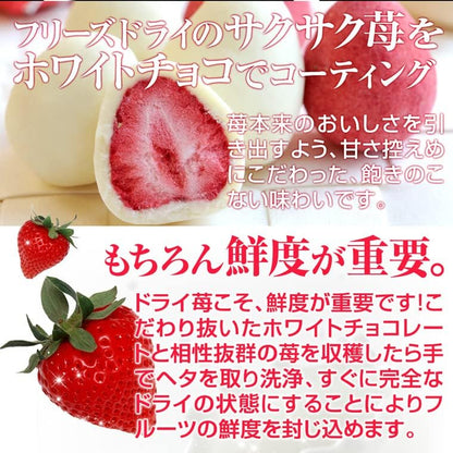 Kobe Frantz Strawberry Truffle Assortment – Premium Chocolate Gift