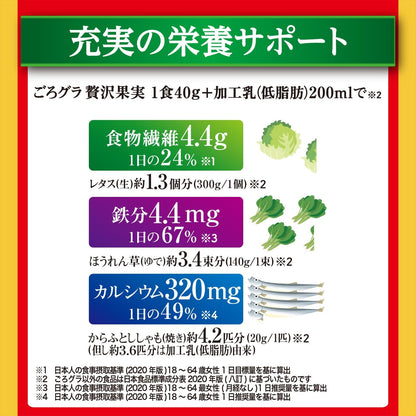 Nissin Cisco Gorra Luxury Fruit Granola – Premium Fruity Japanese Crunch
