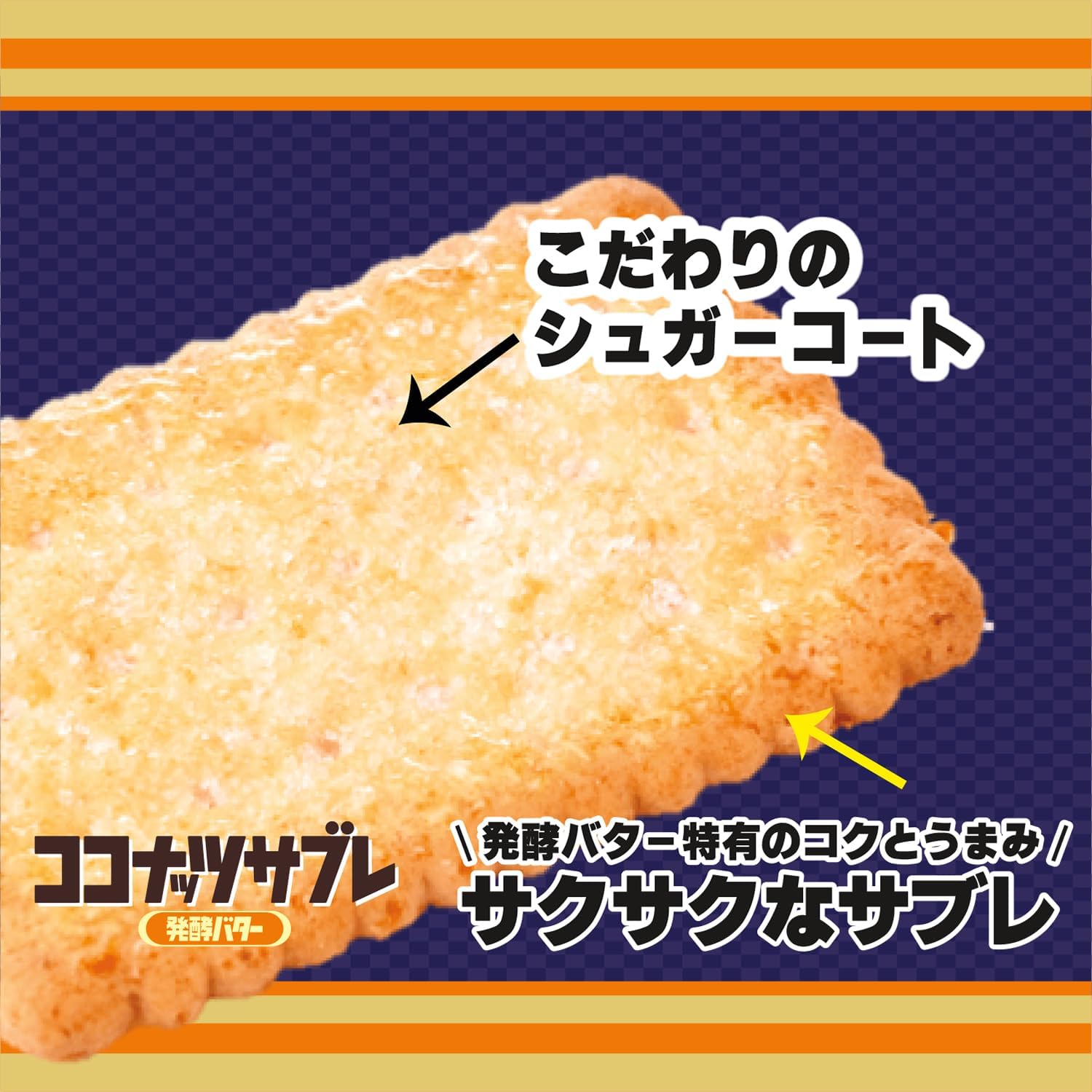 Nissin Cisco Coconut Sablé Fermented Butter, 16 Pieces × 14 Bags | Japanese Savory-Sweet Snack