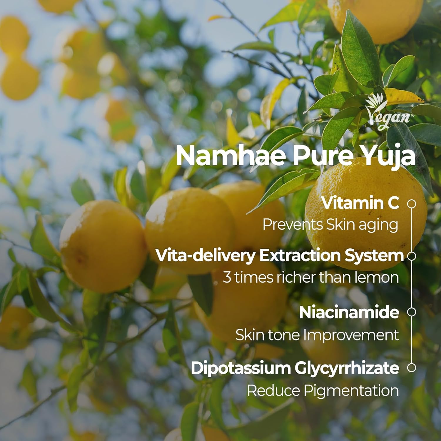 SKINFOOD Yuzu C Vita Daily Mask – Brightening &amp; Hydrating Korean Sheet Mask Pack