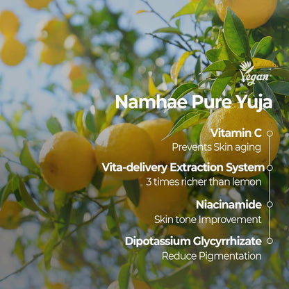 SKINFOOD Yuzu C Vita Daily Mask – Brightening &amp; Hydrating Korean Sheet Mask Pack