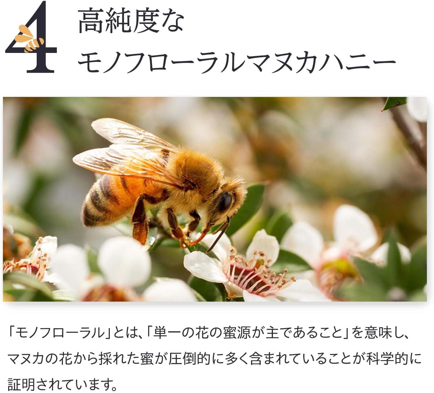 UMF 15+ MGO 512+ Manuka Honey 250g | Raw, Unheated &amp; Additive-Free | Authentic New Zealand Manuka Honey