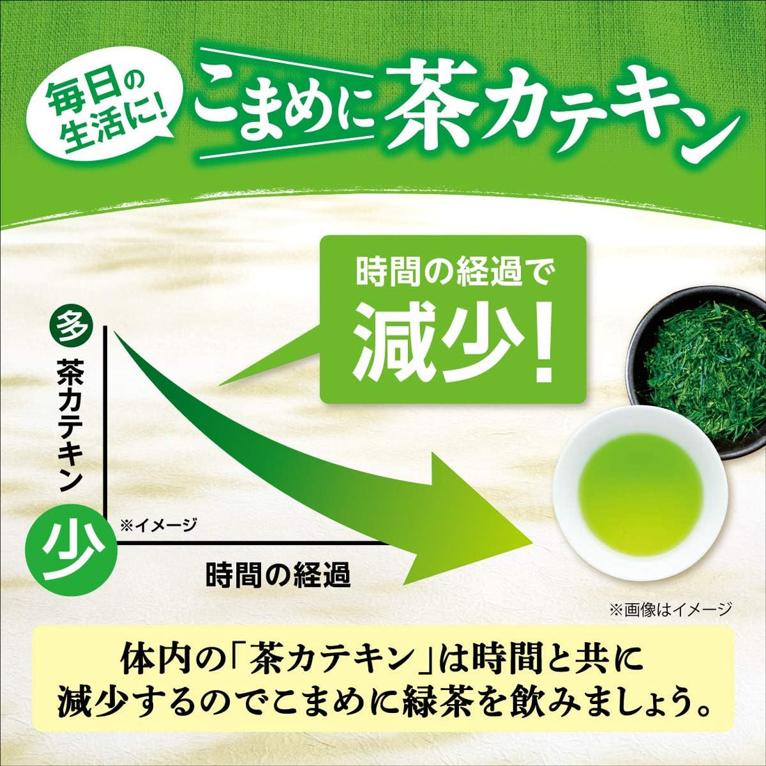 Itoen Taste of the Day Premium Steamed Green Tea (100% First-Pick Tea) 100g | 1000 Tea Leaves | Made in Japan