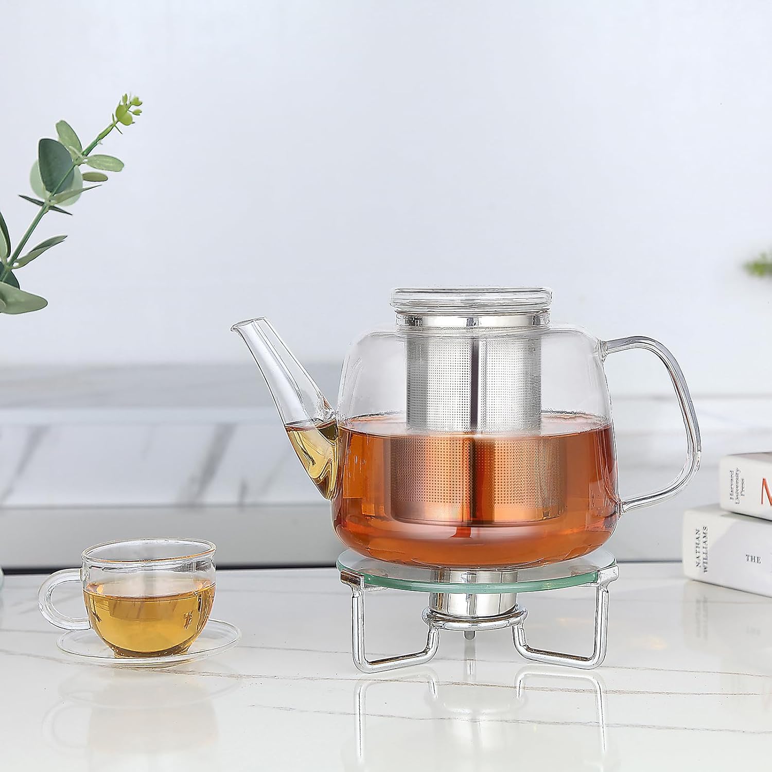 Easyworkz Borosilicate Glass Teapot with Stainless Steel Infuser – Clear, 1500ml