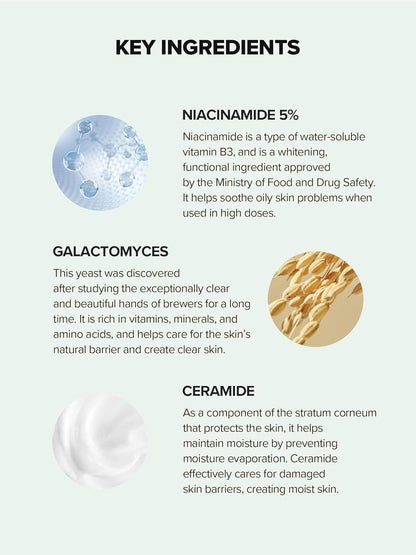 SKINFOOD Lemongrass Niacinamide 20 Serum – Brightening &amp; Oil Control Korean Skincare Serum