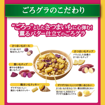 Nissin Cisco Gorura Sweet Potato Granola – Crunchy Japanese Sweet Delight