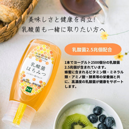 MY HONEY Acacia Honey Tube Bottle 500g | 100% Hungarian Acacia Raw Honey | Lactic Acid Bacteria Honey | Easy-Squeeze Bottle | Made in Japan