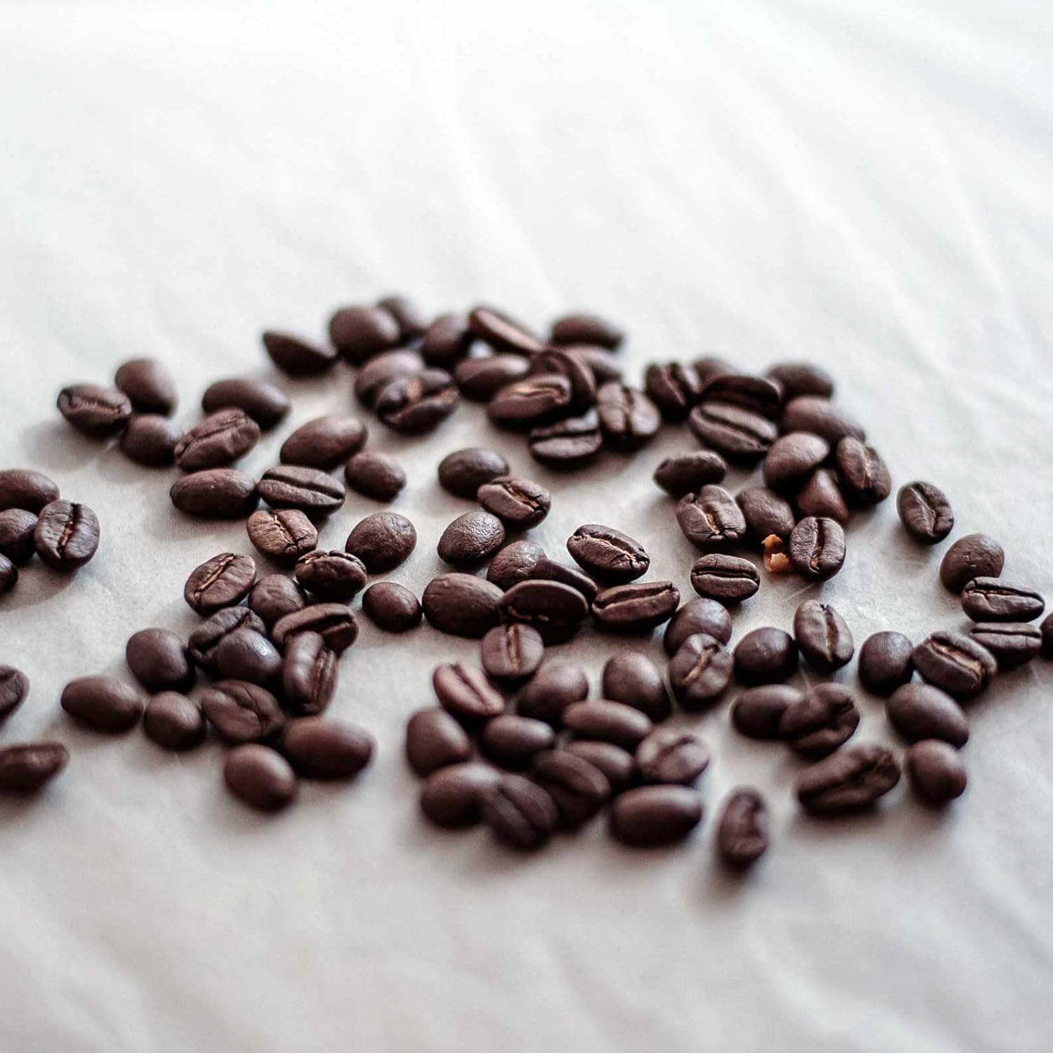 TOKYO COFFEE Mexico Organic Coffee Beans – Home-Roasted (200g)