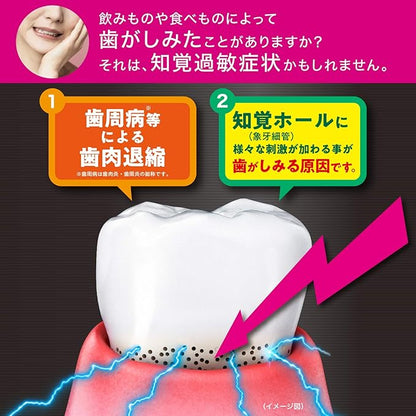 GUM (Gum) [Quasi-drug] Pro Care Hypersensitive Sensitive Care Medicated Toothpaste Intensive Care