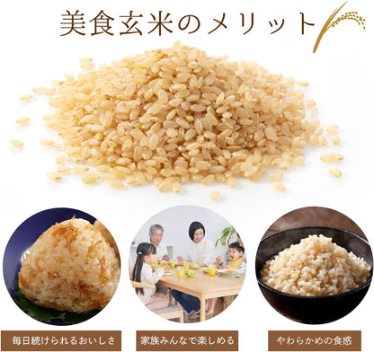 Mitsuhashi [Brown Rice] Gourmet Brown Rice 900g | Made with Hitomebore rice from Iwate Prefecture | Made in Japan