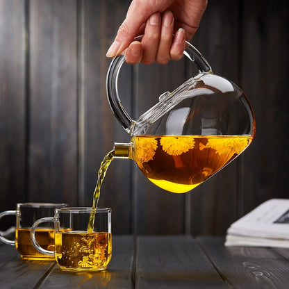 Pokaloti Transparent Glass Teapot 850ml – Heat-Resistant Direct Fire Safe Round Tea Pot