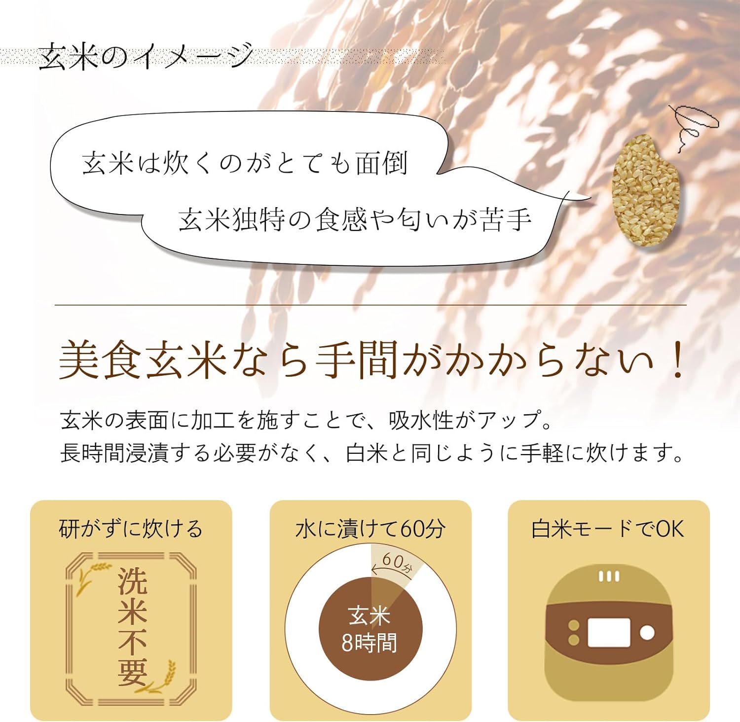 Mitsuhashi [Brown Rice] Gourmet Brown Rice 900g | Made with Hitomebore rice from Iwate Prefecture | Made in Japan