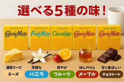 Otsuka Pharmaceutical Calorie Mate Blocks Assorted – 5 Flavors Set, 15 Packs Total | Vanilla, Chocolate, Cheese, Maple, Fruit