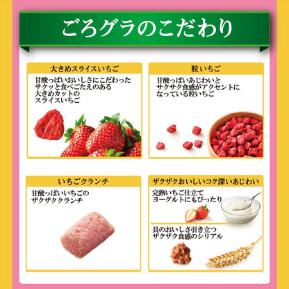 Nissin Cisco Gorotto Granola with Strawberries, 320 g × 6 Packs | Japanese Breakfast Cereal