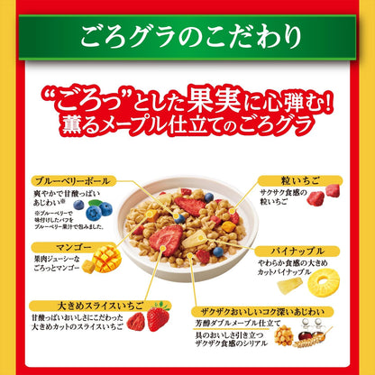 Nissin Cisco Gorra Luxury Fruit Granola – Premium Fruity Japanese Crunch