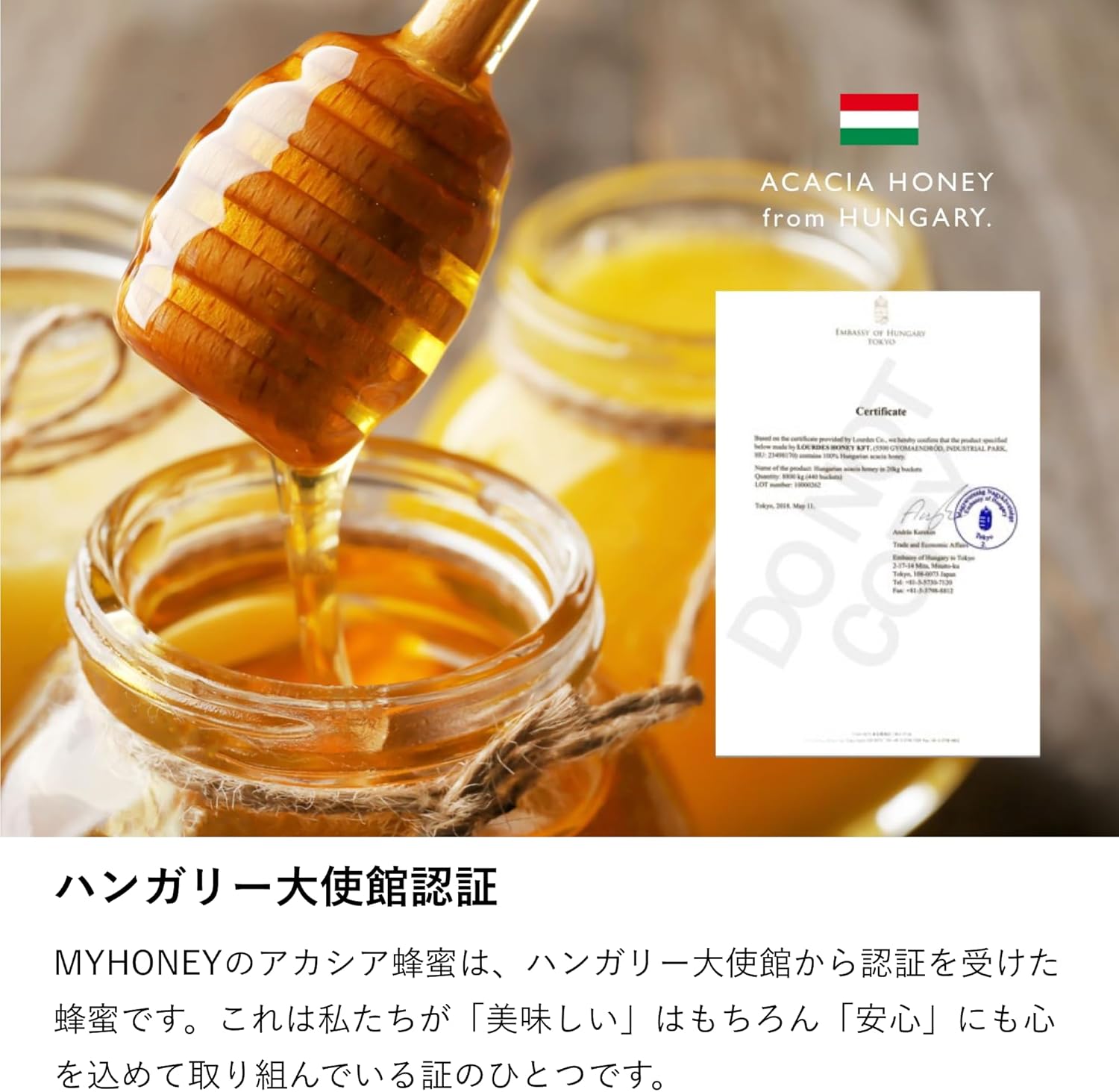 MYHONEY KISS Acacia Honey Refill Pack of 50 | 100% Pure Hungarian Acacia Honey Sticks | Additive-Free | Portable Honey for Daily Wellness