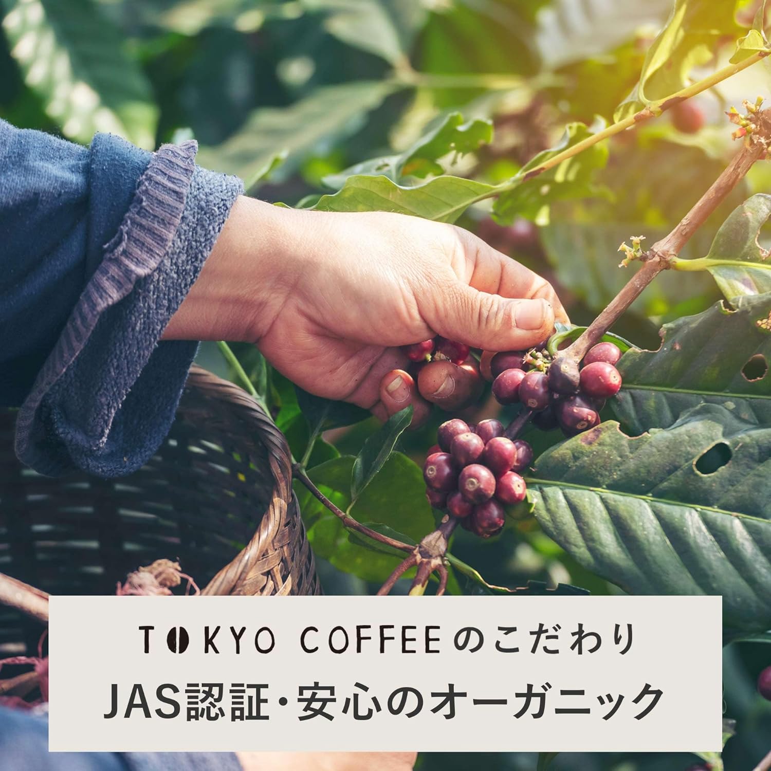 TOKYO COFFEE Original Organic Blend Coffee Beans | Home Roasted | Organic JAS Coffee Beans (Whole Beans 400g) | Japanese Coffee