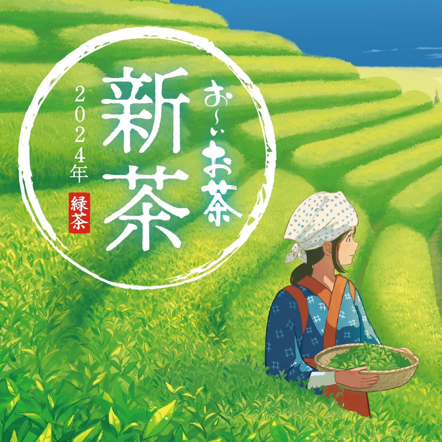 Itoen Oi Ocha New Tea Shincha 1.8g x 20 bags 2024 Premium Tea Bags | First Tea of the Year 2024 | Japanese Green Tea