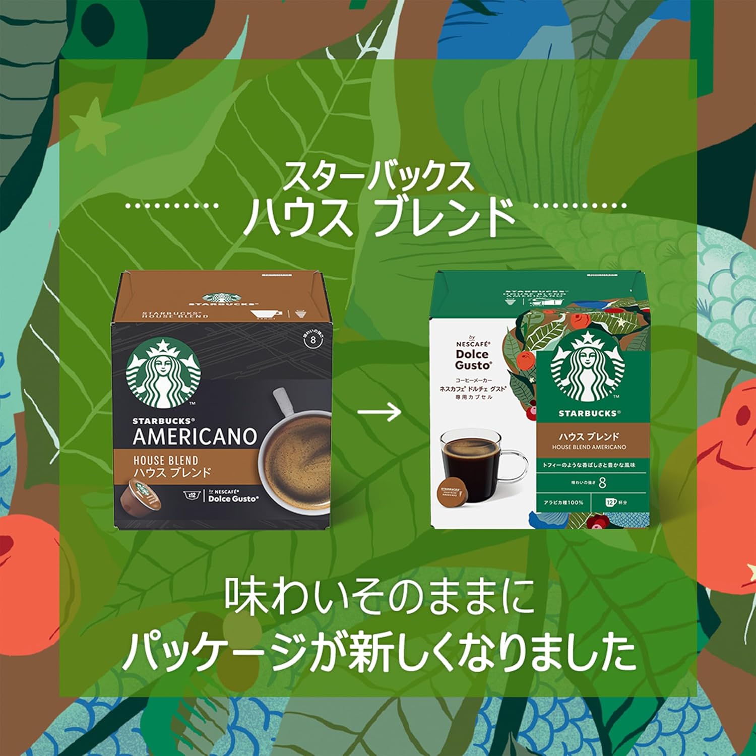 Nescafe Dolce Gusto Original Starbucks House Blend Capsules 12P x 3 Boxes | Regular Black Coffee Pods | No Neo Compatible