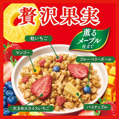 Nissin Cisco Gorra Luxury Fruit Granola – Premium Fruity Japanese Crunch