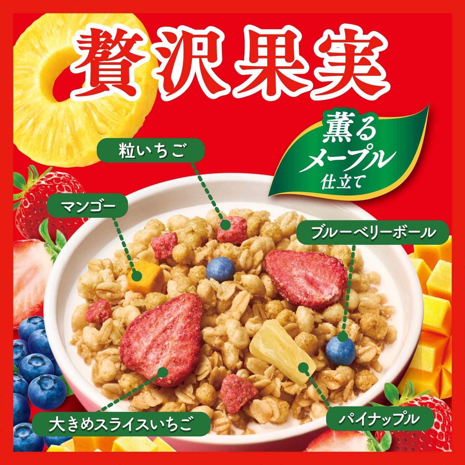 Nissin Cisco Gorura Luxury Fruits Granola – Premium Fruity Crunch Pack