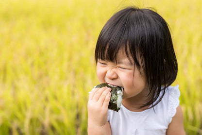 Fuchu Hokuen Grilled Nori